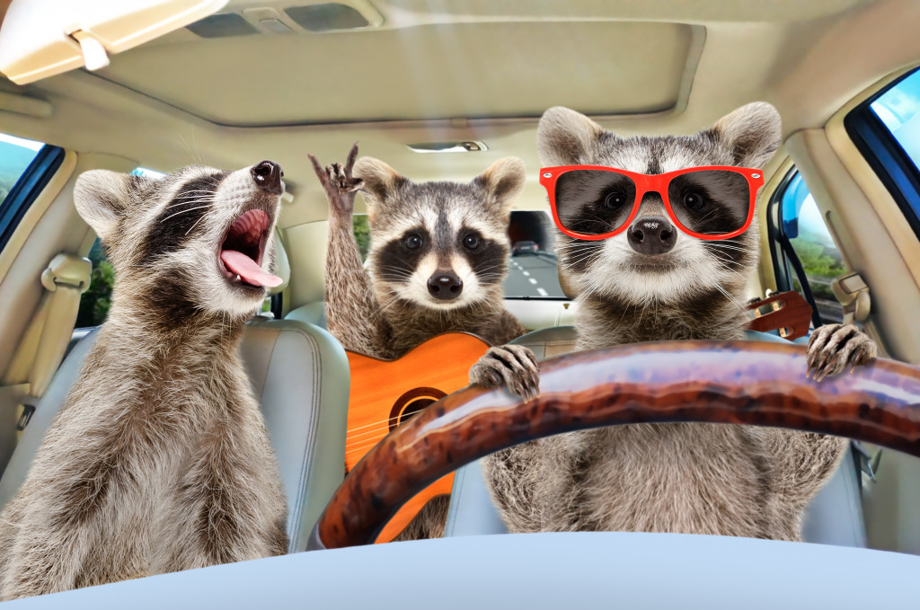 Raccoons on Vacation jigsaw puzzle in Animaux puzzles on TheJigsawPuzzles.com