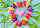 Heart with Colorful Tulips