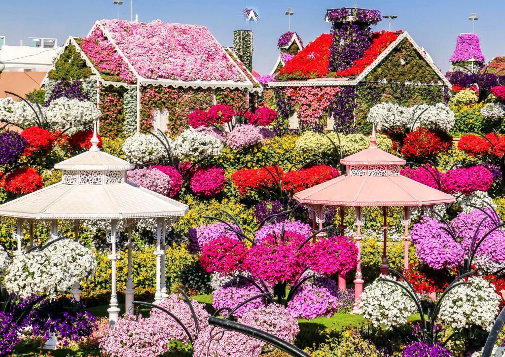Miracle Flower Garden in Dubai jigsaw puzzle in Blumen puzzles on TheJigsawPuzzles.com