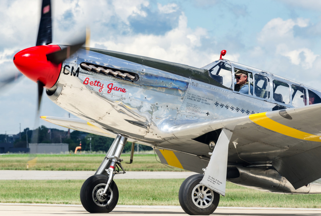 WWII P-51C Mustang Betty Jane jigsaw puzzle in Aviation puzzles on TheJigsawPuzzles.com