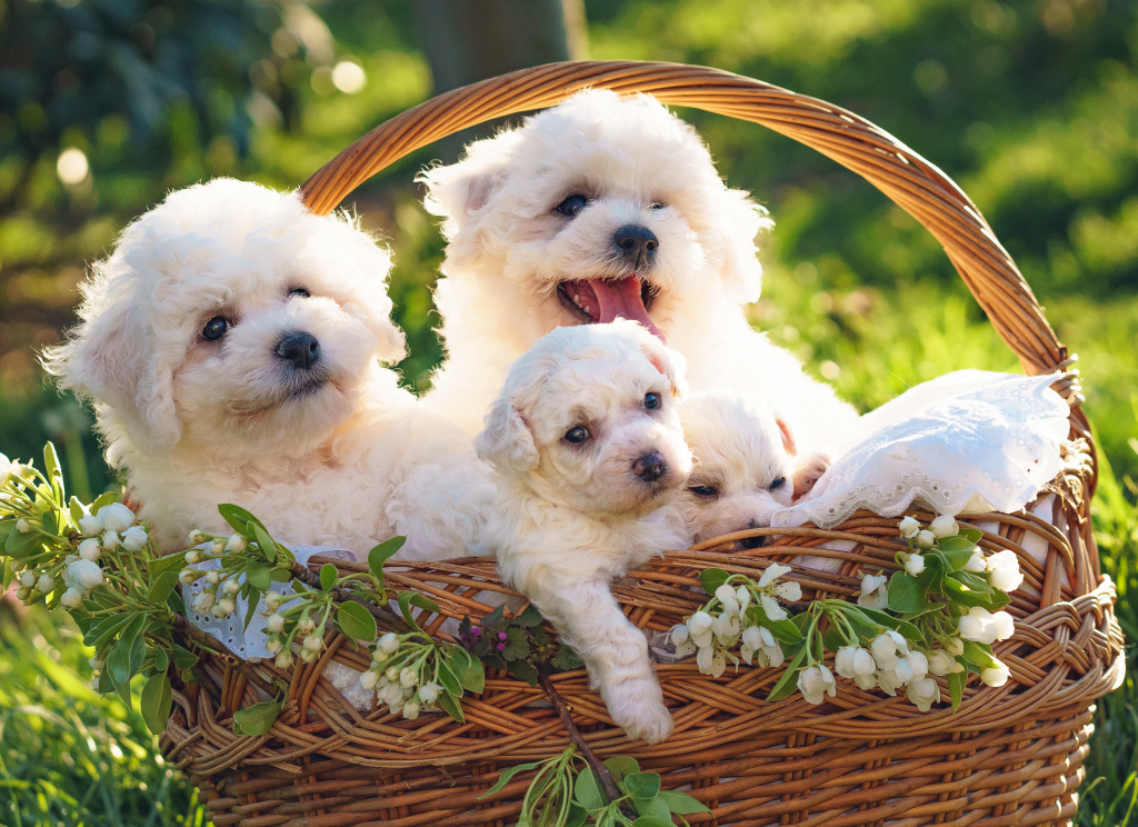 Basket of Puppies jigsaw puzzle in Animaux puzzles on TheJigsawPuzzles.com