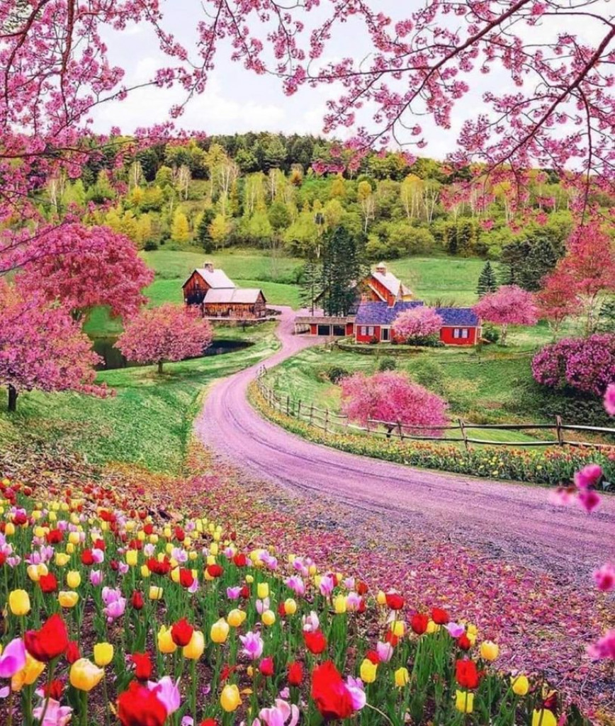 Springtime Flowers jigsaw puzzle in Ruth Brant puzzles on TheJigsawPuzzles.com