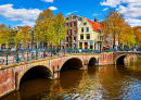 Canal in Amsterdam, The Netherlands