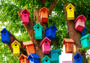 Colorful Birdhouses