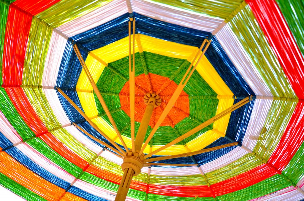 Parapluie coloré jigsaw puzzle in Macrophotographie puzzles on TheJigsawPuzzles.com
