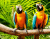 Colourful Macaws Sitting on the Perch