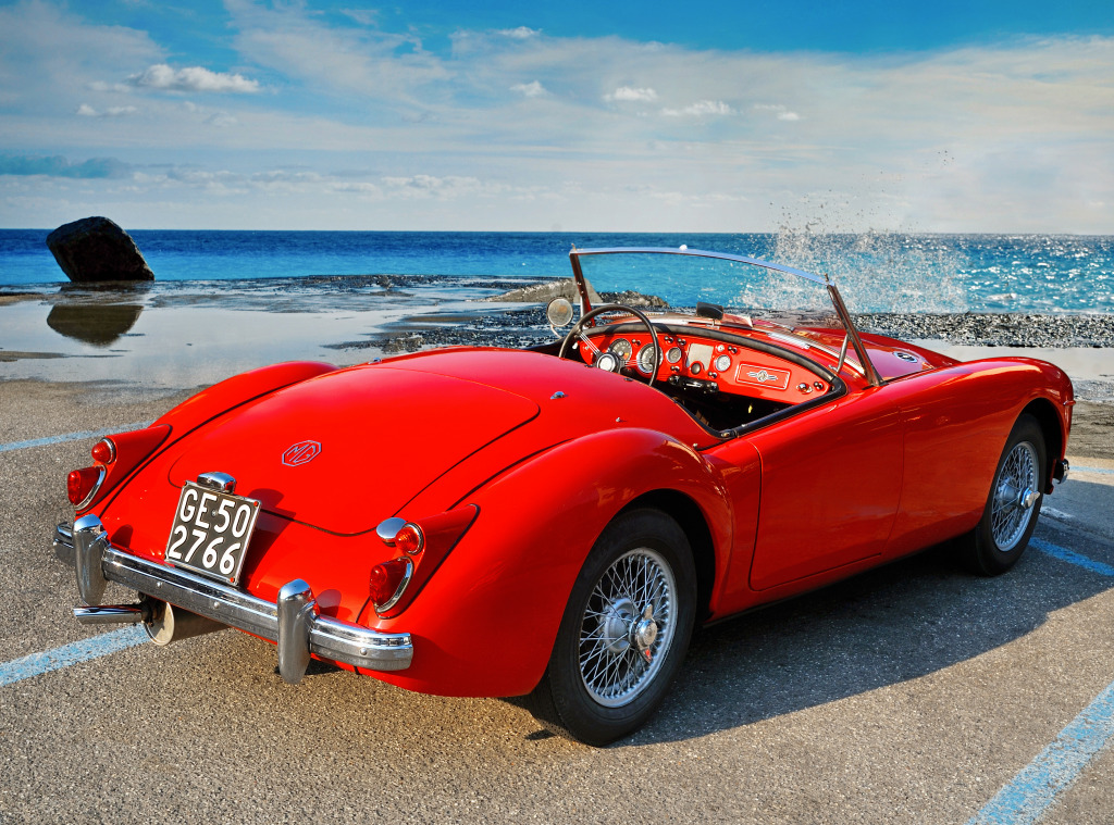 1960 MGA 1600 Mk1 Roadster jigsaw puzzle in Cars & Bikes puzzles on TheJigsawPuzzles.com
