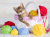 Tabby Kitten with Yarn Balls