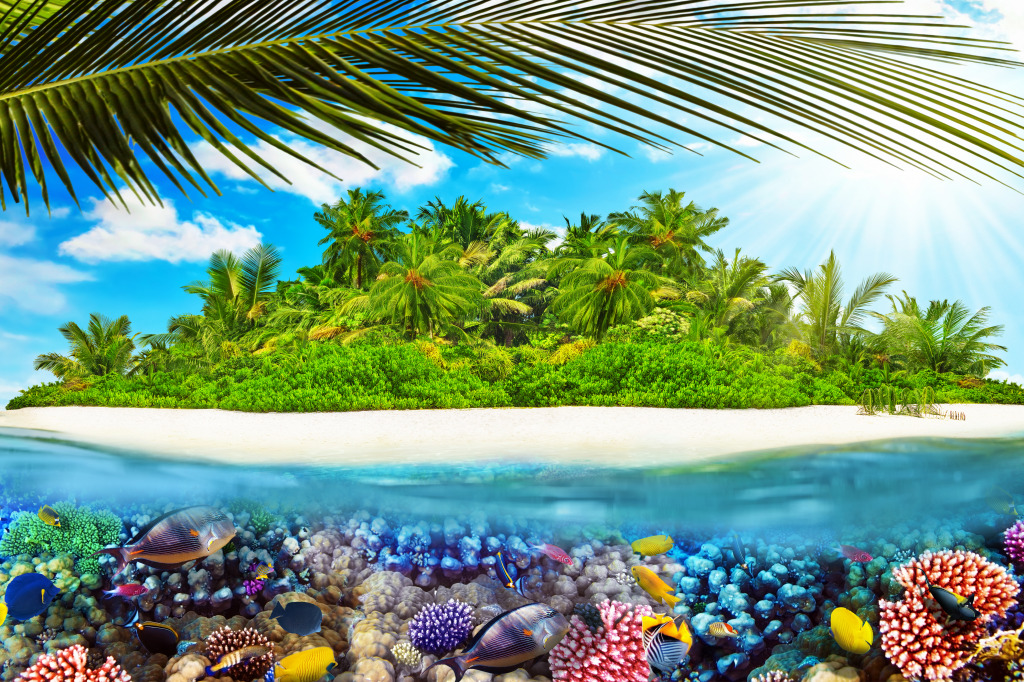 Тропический остров jigsaw puzzle in Подводный мир puzzles on TheJigsawPuzzles.com