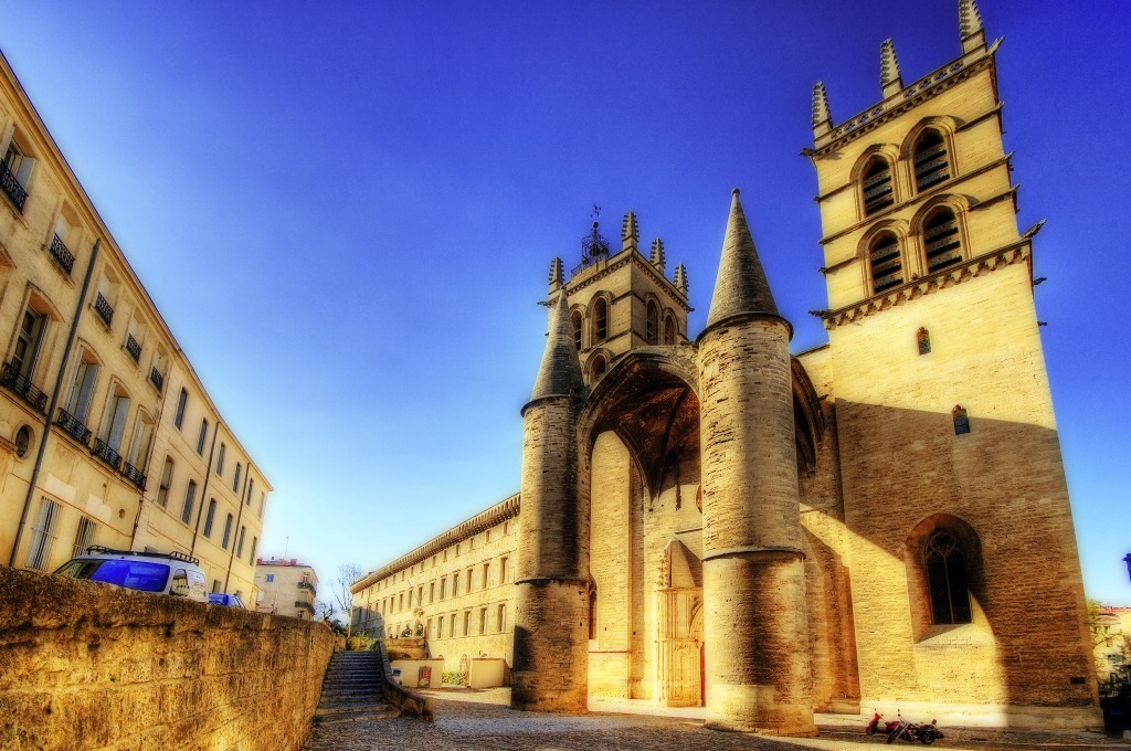 Montpellier Cathedral jigsaw puzzle in Castles puzzles on TheJigsawPuzzles.com