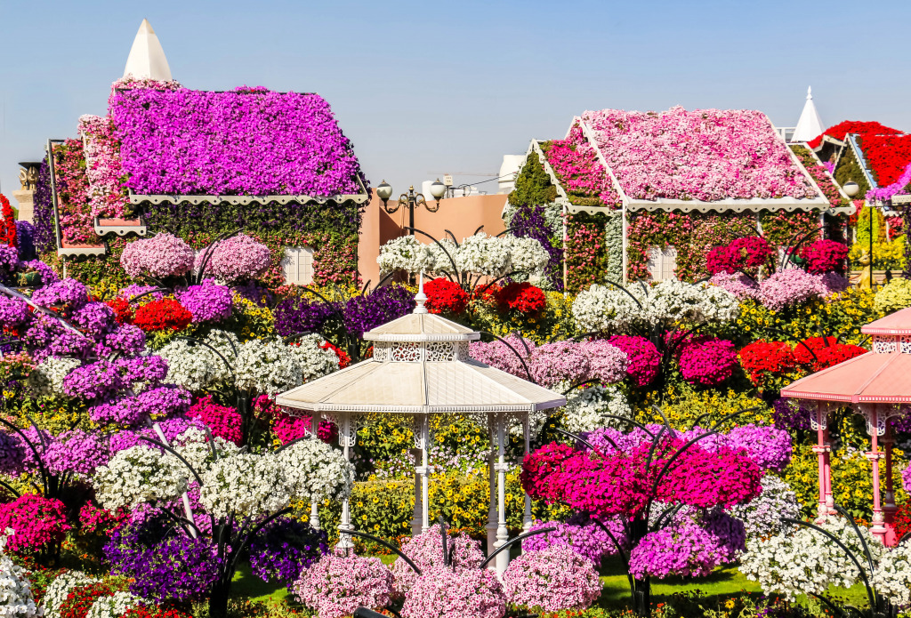 Miracle Flower Garden in Dubai jigsaw puzzle in Flowers puzzles on TheJigsawPuzzles.com