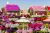 Miracle Flower Garden in Dubai