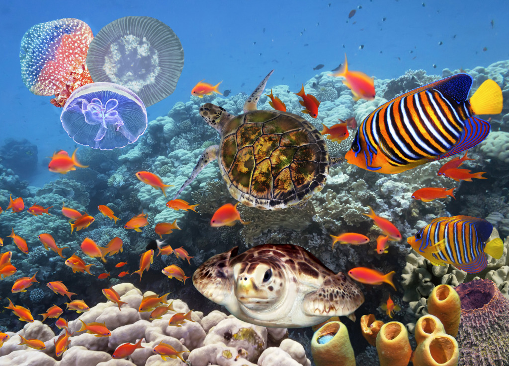 Коралловый риф, коллаж jigsaw puzzle in Подводный мир puzzles on TheJigsawPuzzles.com
