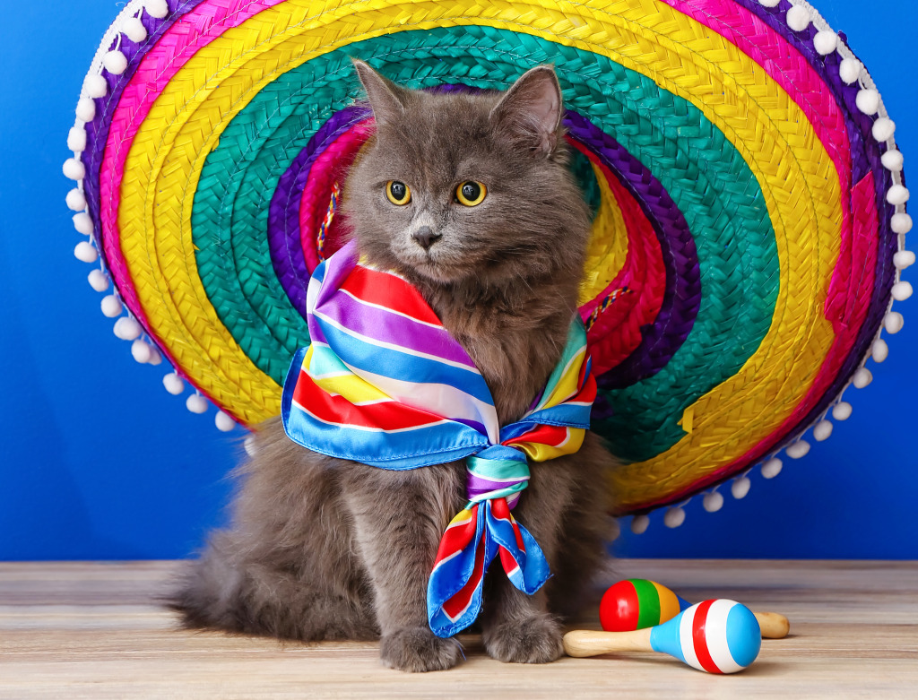 Chat Sombrero jigsaw puzzle in Animaux puzzles on TheJigsawPuzzles.com
