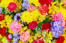 Colorful Flower Arrangement