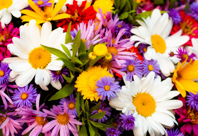 Summer Bouquet jigsaw puzzle in Flowers puzzles on TheJigsawPuzzles.com ...