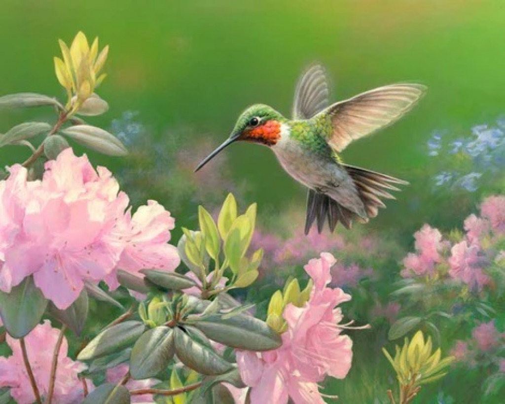 Hummingbird I jigsaw puzzle in Janice Paulsen puzzles on TheJigsawPuzzles.com