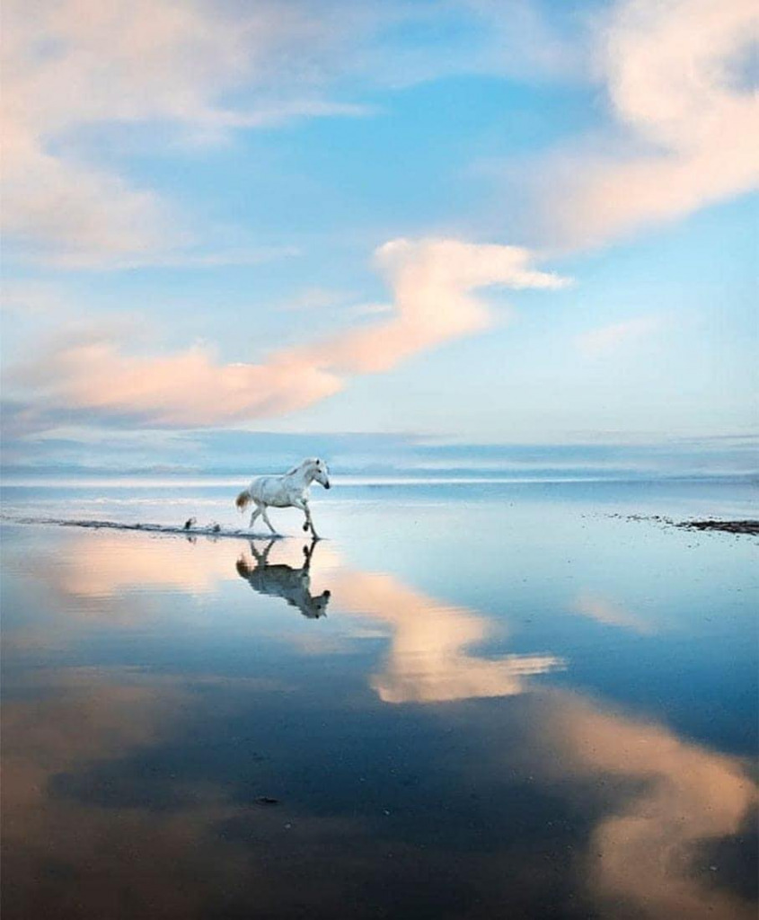 288220668_445995814029954_6148349973879109790_n jigsaw puzzle in emilie10 puzzles on TheJigsawPuzzles.com