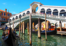 Grand Canal and Rialto Bridge in Venice