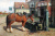 Farm Horse at the Trough before a Tavern