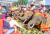 Surin Elephant Round-Up Festival, Thailand