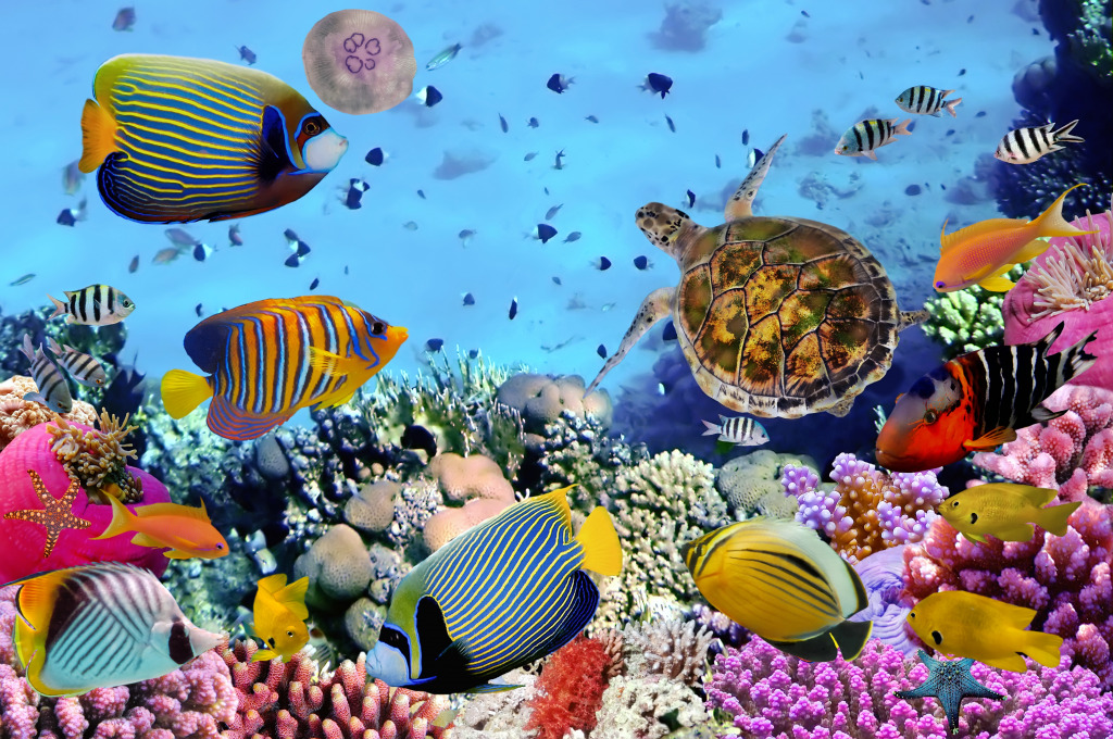 Korallenriff mit Fischen und Meeresschildkröten jigsaw puzzle in Unter dem Meer puzzles on TheJigsawPuzzles.com