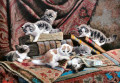 Kittens with Books