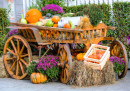 Autumn Cart with Pumpkins