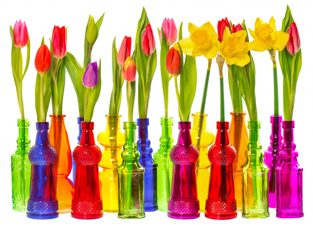 Fleurs de tulipes et de Narcisses jigsaw puzzle in Fleurs puzzles on TheJigsawPuzzles.com
