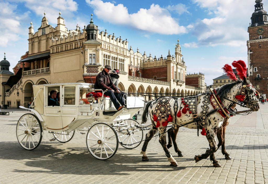 Carruagem Puxada por Cavalos na Cracóvia, Polônia jigsaw puzzle in Animais puzzles on TheJigsawPuzzles.com