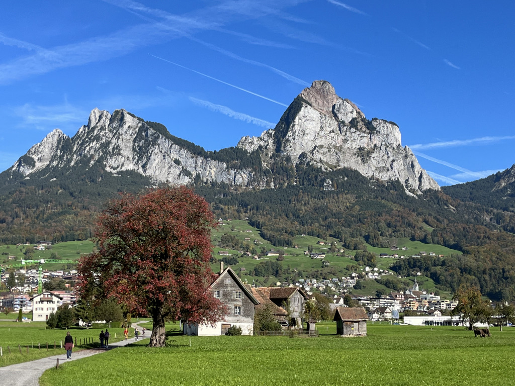 Silbis Heimat jigsaw puzzle in Ruth L puzzles on TheJigsawPuzzles.com