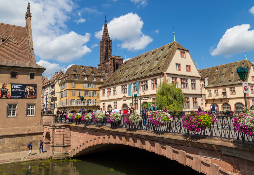 Cidade de Estrasburgo, Alsácia, França jigsaw puzzle in Pontes puzzles on TheJigsawPuzzles.com