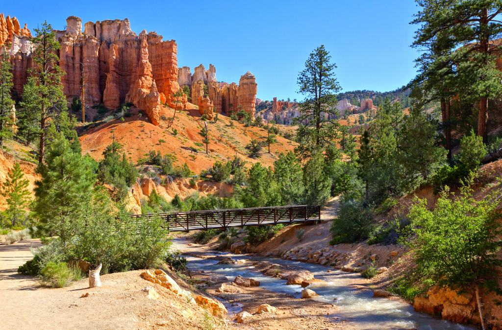 Mossy Cave Trail, Bryce-Canyon-Nationalpark, Utah jigsaw puzzle in Brücken puzzles on TheJigsawPuzzles.com