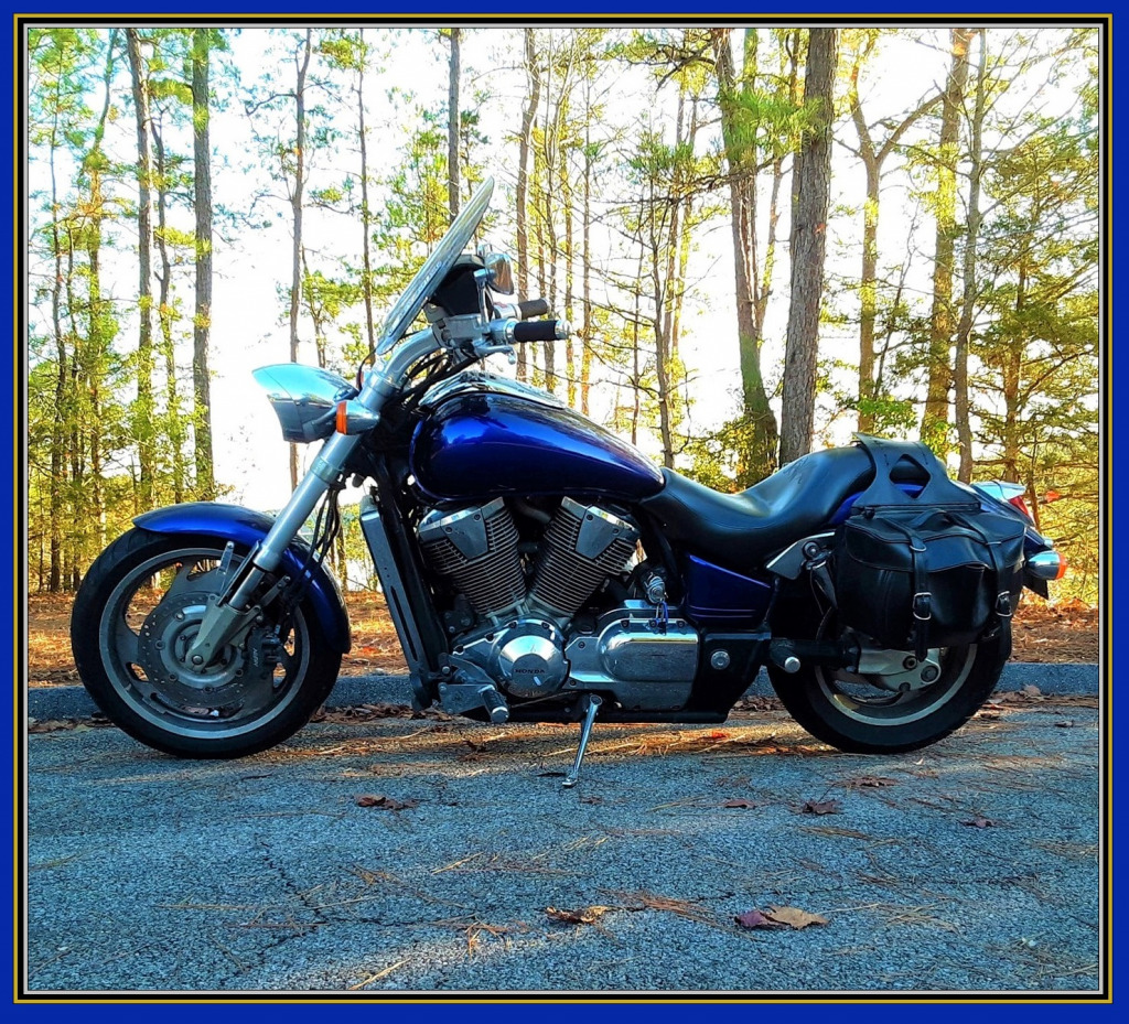 My 1800C at Bay Springs Lake jigsaw puzzle in Scott Robinson puzzles on TheJigsawPuzzles.com