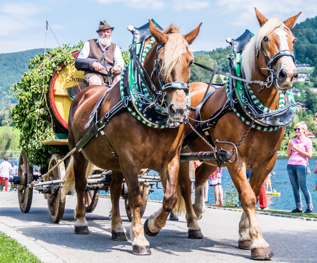 Annual Horse Day Festival, Rottach-Egern, Germany jigsaw puzzle in Puzzle of the Day puzzles on TheJigsawPuzzles.com