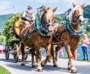 Annual Horse Day Festival, Rottach-Egern, Germany