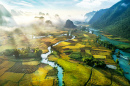 Rice Terraces at Trung Khanh, Vietnam