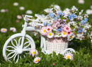 Bicycle with Spring Flowers