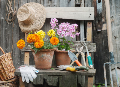 Flowers And Gardening Tools Jigsaw Puzzle In Puzzle Of The Day Puzzles