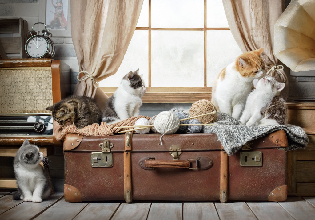 Kittens Basking on a Suitcase jigsaw puzzle in Animals puzzles on TheJigsawPuzzles.com