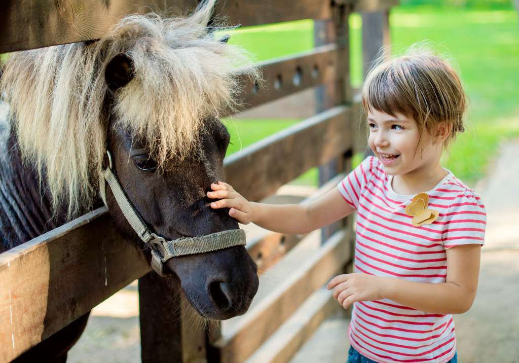 Little Girl Petting A Pony jigsaw puzzle in Animals puzzles on TheJigsawPuzzles.com