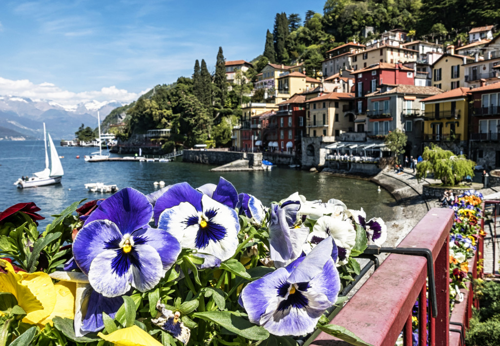 Lake Como, Italy jigsaw puzzle in Flowers puzzles on TheJigsawPuzzles.com