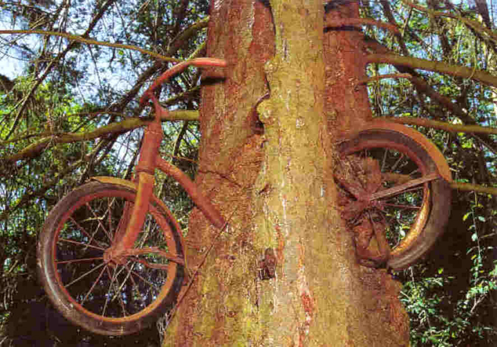 Rad im Baum jigsaw puzzle in Britta Schwandt puzzles on TheJigsawPuzzles.com