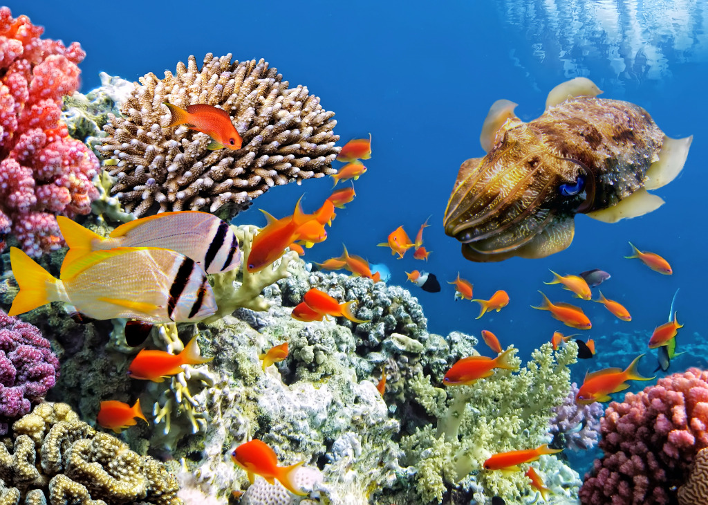 Тропическая рыба на коралловом рифе jigsaw puzzle in Подводный мир puzzles on TheJigsawPuzzles.com