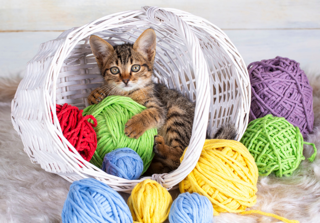 Cute Kitten with Colorful Balls of Yarn jigsaw puzzle in Puzzle of the Day puzzles on TheJigsawPuzzles.com
