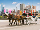 Horse Carriage in Melbourne, Australia