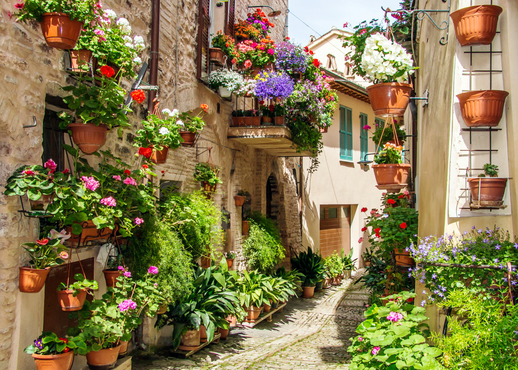 Medieval Town of Spello, Italy jigsaw puzzle in Flowers puzzles on TheJigsawPuzzles.com