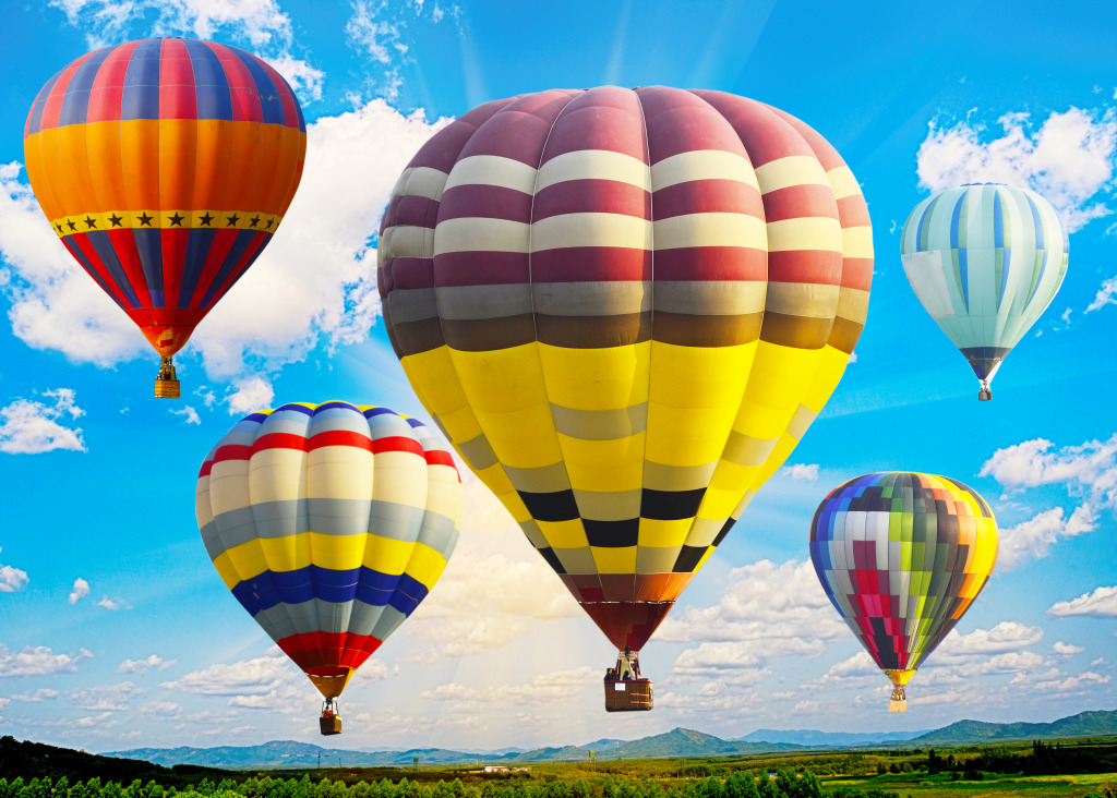 Hot Air Balloons over the Paddy Field jigsaw puzzle in Aviation puzzles on TheJigsawPuzzles.com
