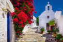 Mediterranean Street, Amorgos, Greece