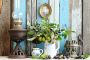 Composition with Antiques and Fruit Branches
